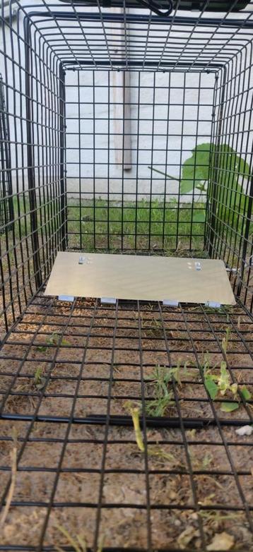 SET VAN 4 VALLEN MARTER VOS RATTENVAL  beschikbaar voor biedingen