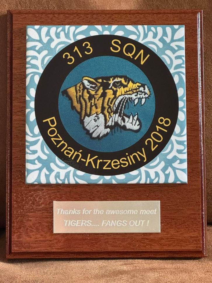 Gedenkplaat NTM 2018 Polen 313 SQN., Verzamelen, Militaria | Algemeen, Luchtmacht, Verzenden