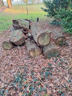 Brandhout eiken hout haardhout haard, 3 tot 6 m³, Ophalen