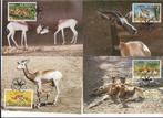 Senegal wwf wnf Gazelle bedreigde diersoorten 4 maxikaarten, Postzegels en Munten, Ophalen of Verzenden, Postfris, Dier of Natuur