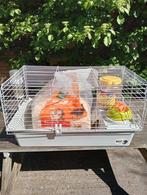 Cavia kooi met toebehoren, Kooi, Gebruikt, Cavia, Ophalen