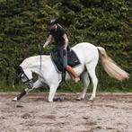 Instructie, shows en clinics, verkoopbemiddeling., Gedragstraining