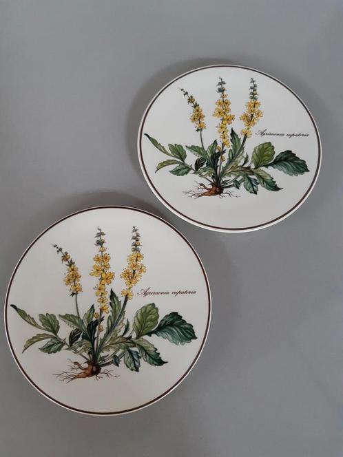 2 Porseleinen onderzetters Villeroy en Boch Botanica, Huis en Inrichting, Woonaccessoires | Onderzetters, Zo goed als nieuw, Glas of Kopje