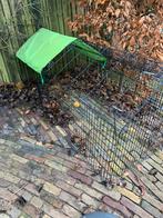 Ren konijn, Dieren en Toebehoren, Ophalen, 110 cm of meer, 60 tot 90 cm, Zo goed als nieuw