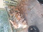 mooi hout tekoop, Tuin en Terras, Haardhout, Minder dan 3 m³, Ophalen
