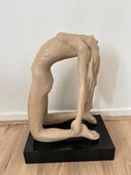 “Rebirth” Jean-Pierre Renard Austin Productions 1980, Antiek en Kunst, Ophalen