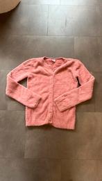 HEMA Fluffy Vest Roze – Maat 158/164, Meisje, ., Trui of Vest, Ophalen of Verzenden