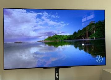 LG 55 inch OLED tv (OLED55G26LA / bj 02-03-2023) beschikbaar voor biedingen