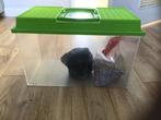 Vissenbak / kweekbak, Dieren en Toebehoren, Vissen | Aquaria en Toebehoren, Ophalen, Gebruikt, Leeg aquarium