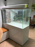 1,2m doorkijk aquarium met kast (op maat gemaakt), Dieren en Toebehoren, Vissen | Aquaria en Toebehoren, Ophalen, Gebruikt, Leeg aquarium