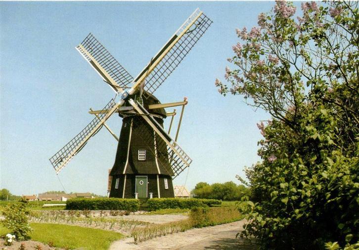 Molen, Aagtekerke. - ongelopen, Verzamelen, Ansichtkaarten | Nederland, Ongelopen, Noord-Brabant, Voor 1920, Ophalen of Verzenden