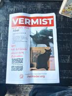 VERMIST IN WESTERKOOG KOOG AD ZAAN, Dieren en Toebehoren, Vermiste en Gevonden Dieren