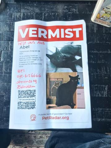 VERMIST IN WESTERKOOG KOOG AD ZAAN beschikbaar voor biedingen