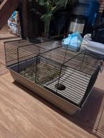 Hamster kooi, Dieren en Toebehoren, Kooi, Gebruikt, Minder dan 75 cm, Hamster