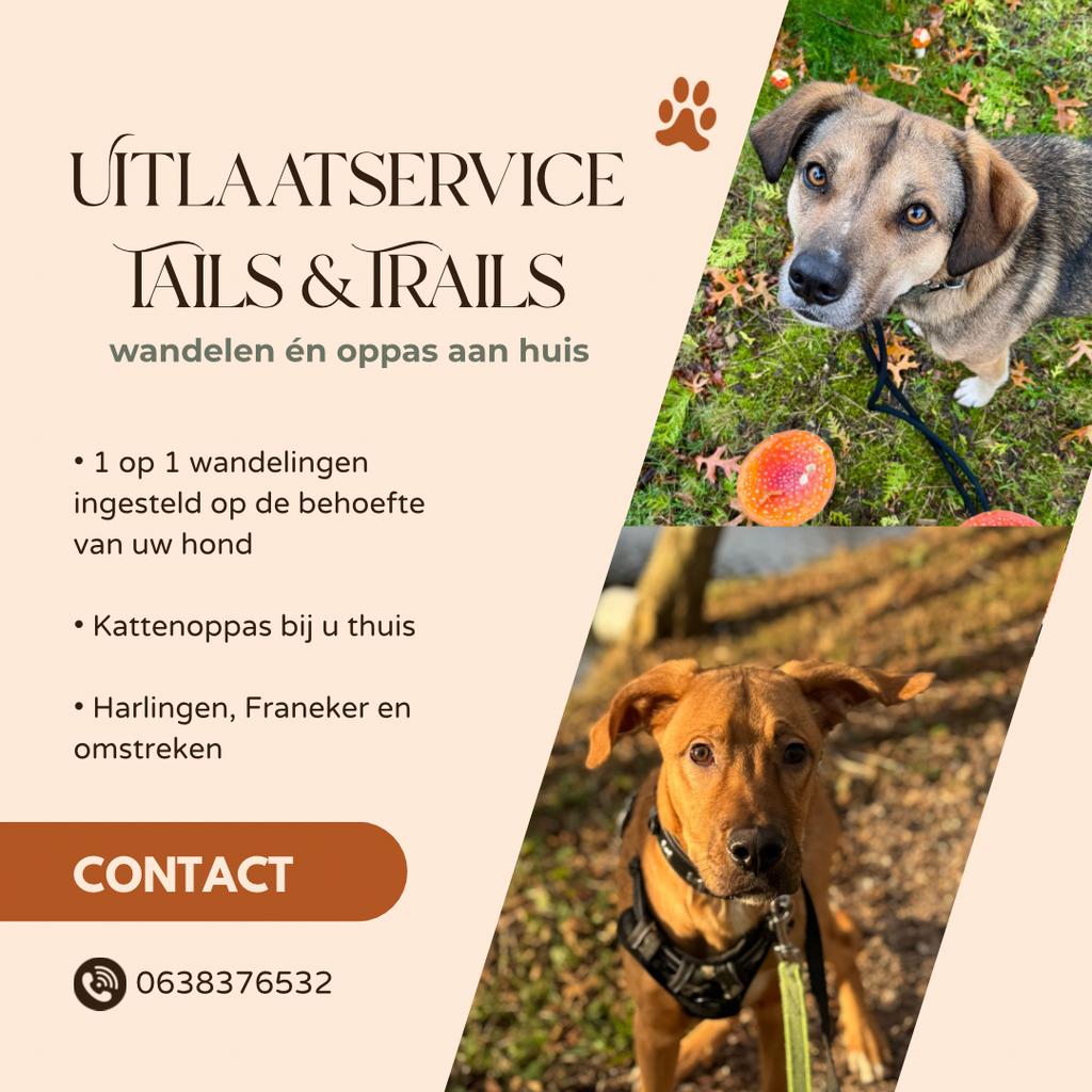 Hondenuitlaatservice Friesland, Dieren en Toebehoren, Honden-accessoires, Nieuw, Ophalen