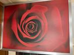 Schilderij rode roos 109x149 cm, Ophalen