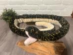 Hele lange plusche ratelslang 2.40  cm, Ophalen of Verzenden, Zo goed als nieuw, Overige typen