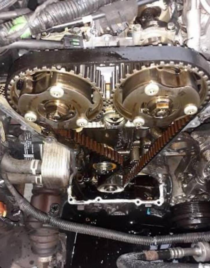 Distributieriem Vervangen Ford/Peugeot, Diensten en Vakmensen, Auto en Motor | Monteurs en Garages, Garantie