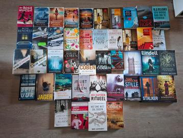 Boekenpakket: Thrillers en Romans beschikbaar voor biedingen