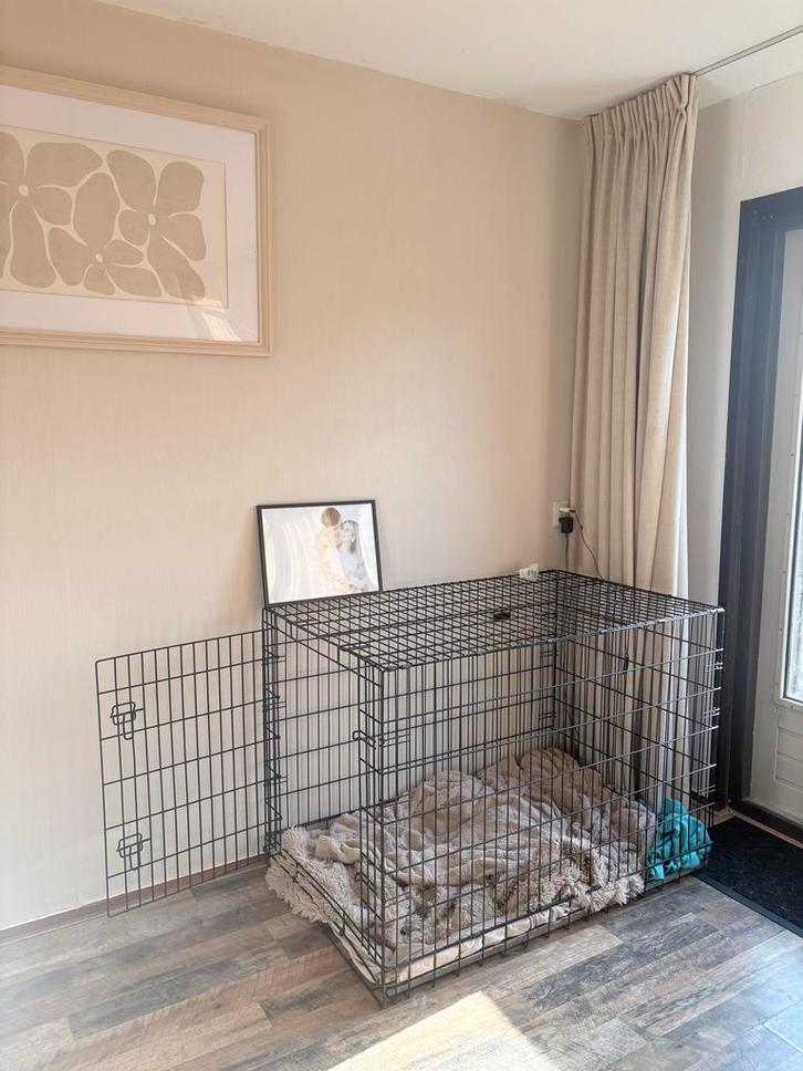 Ruime honden bench (LETOP afmetingen), Dieren en Toebehoren, Hondenbenches, Gebruikt, Ophalen