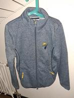 Harry's Horse Paardrijvest Maat 152, Dieren en Toebehoren, Paardrijkleding, Ophalen, Zo goed als nieuw