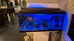 Aquarium 80x40x30, Dieren en Toebehoren, Ophalen, Gevuld zoetwateraquarium