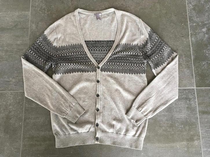 Heren vest, maat L, Kleding | Heren, Truien en Vesten, Gedragen, Maat 52/54 (L), Grijs, Verzenden
