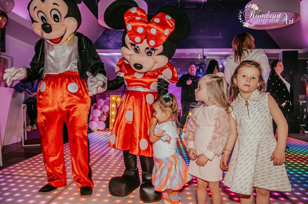 Mickey of minnie of samen op je feestje?, Ophalen of Verzenden, Overige