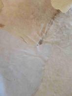 Koeienhuid koeienvacht koeienvel beige 200/160, Gebruikt, Beige, Etten-Leur, 150 tot 200 cm