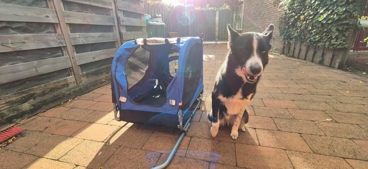 Honden kar, Dieren en Toebehoren, Honden-accessoires, Zo goed als nieuw, Ophalen