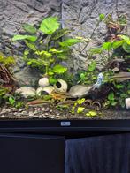 4 stuks torpedo barbelen GROOT, Vis