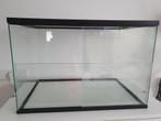 Hamster terrarium kooi 60 x 40 x 40 cm, Ophalen, Zo goed als nieuw