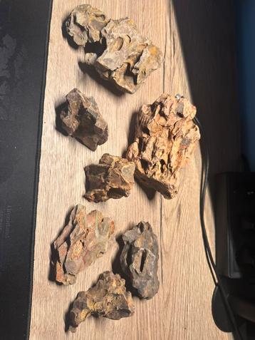 !nieuw! Dragon stone beschikbaar voor biedingen