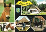 Borger- -5-luik., Verzenden, 1960 tot 1980, Gelopen, Drenthe