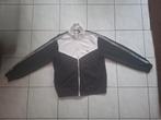 Lacoste Trainingspak, Kleding | Heren, Maat 52/54 (L), Ophalen of Verzenden, Zo goed als nieuw, Lacoste