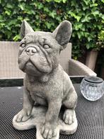 franse bull bulldog bulletje beeld, Ophalen, Nieuw