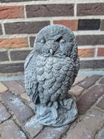Betonbeeld uiltje, Ophalen, Nieuw, Beton, Dierenbeeld