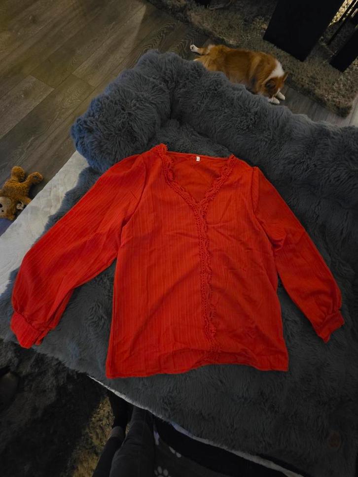 Vrolijke oranje blouse met kantdetails – maat L – nieuwstaat, Kleding | Dames, T-shirts, Nieuw, Maat 42/44 (L), Oranje, Lange mouw