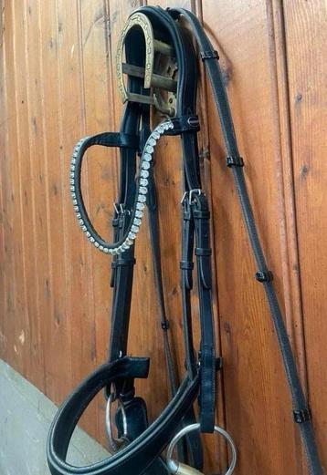 Passier hoofdstel favorite beschikbaar voor biedingen