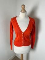 Kyra & Ko maat S oranje cardigan vestje 2646