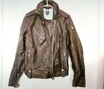 Nieuw leren jas Goosecraft, Maat 38/40 (M), Goosecraft, Bruin, Nieuw
