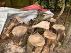 Vers esdoorn stookhout plusminus 10 kuub, Tuin en Terras, Haardhout, 6 m³ of meer, Ophalen of Verzenden, Essenhout, Blokken