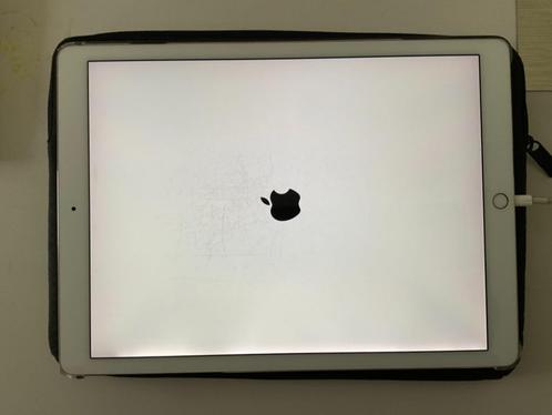 Ipad Pro 12.9 inch 2e generatie 512 GB Plus 2 Apple Pencils, Computers en Software, Apple iPads, Gebruikt, Apple iPad, Wi-Fi, 12 inch