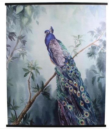 Nieuwe canvas doek pauw peacock 170 x 140 beschikbaar voor biedingen