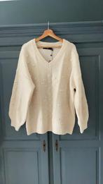 Nieuwe Trui Vero Moda curve mt.46-48, Overige kleuren, Vero Moda, Trui of Vest, Nieuw