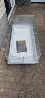 Cavia kooi 119x58 cm Incl mini Buitenren. Incl. Afsluit bove, Dieren en Toebehoren, Knaagdieren en Konijnen | Hokken en Kooien