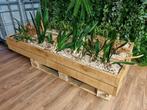 !GRATIS! Steigerhouten plantenbakken. DIRECT OPHALEN, Tuin en Terras, Ophalen, Tuin, Gebruikt, Minder dan 30 cm