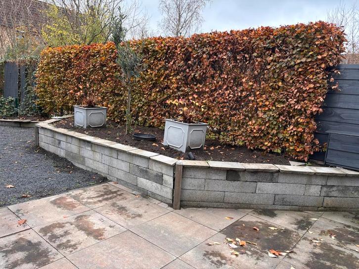 GRATIS Stapelblokken Plantenbak incl. Grond, Tuin en Terras, Palen, Balken en Planken, Gebruikt, Overige typen, 250 cm of meer