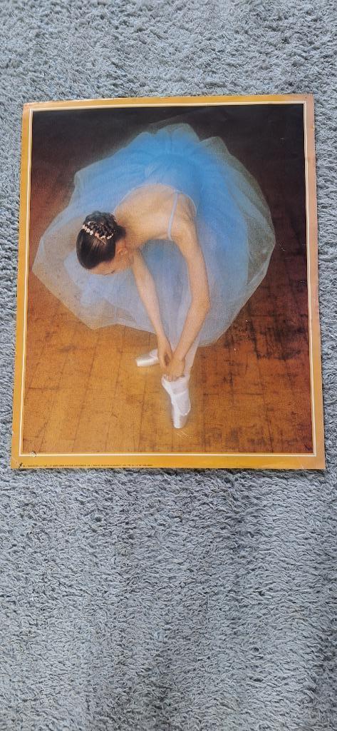 mooie ballet posters, Verzamelen, Posters, Zo goed als nieuw, Film en Tv, A1 t/m A3, Rechthoekig Staand, Ophalen of Verzenden