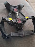 Te koop, Dieren en Toebehoren, Ophalen of Verzenden